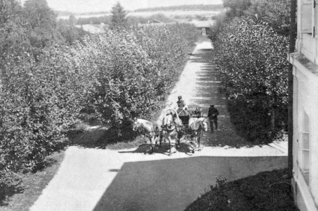 ок.1914 - Вид из "Дома-теремка" на юг