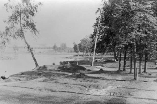 ок.1959 - Долгие пруды