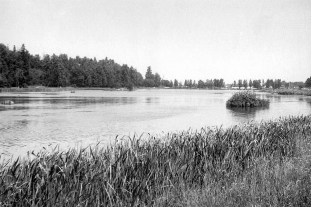 ок.1990 - Долгие пруды, вид с Дмитровского шоссе