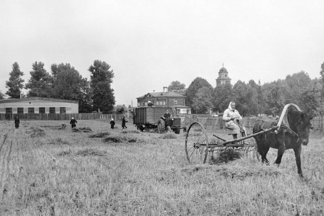 1950-е - Уборка скошенной травы на поле ДАОСа