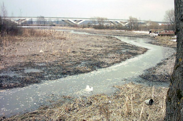 2003 - Впереди автомобильный мост Дмитровского шоссе